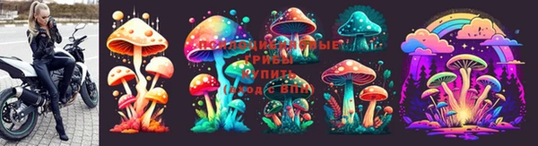 бошки Бугульма
