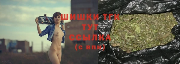 спайс Бородино