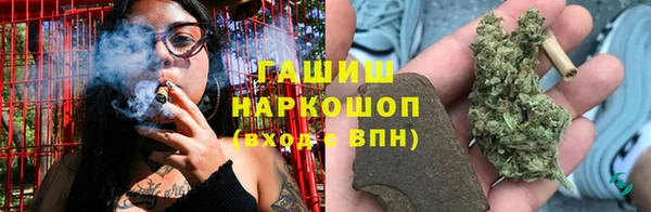 PSILOCYBIN Богородицк