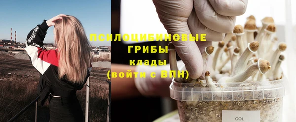 бошки Бугульма